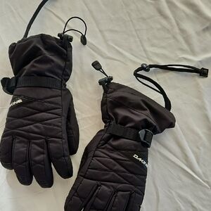 Dakine Men’s Ski Gloves